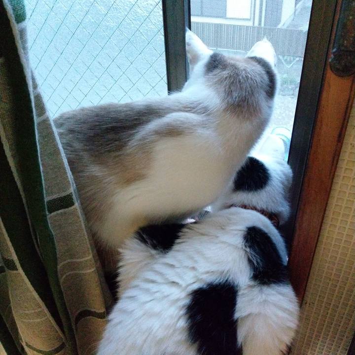 Bec7e84e 2641 4278 9d77 973b02be88ed 1519507742022