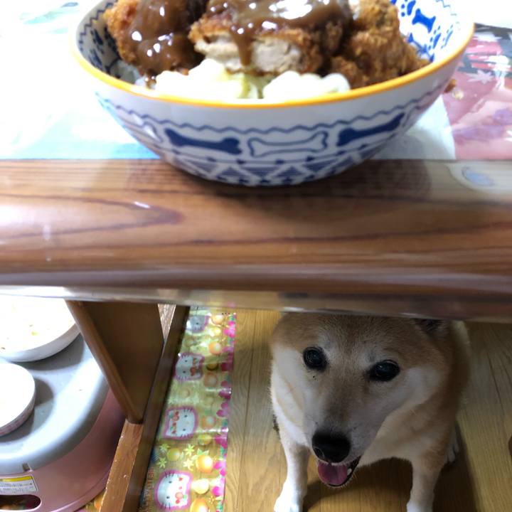 Bec7f993 d47e 4827 b647 56838c7232a9 1566046014417