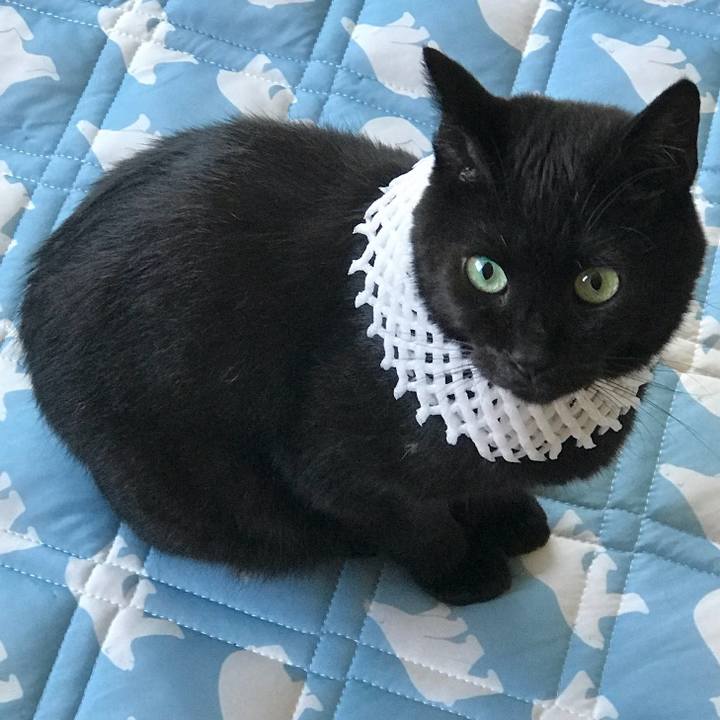 Bec813a2 fe67 457d 85d0 fc14f397cf88 1614992308736