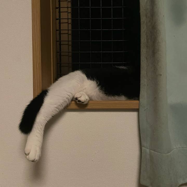 Bec815b9 ce0f 4bfb a0f3 b66c8a813501 1690392930428