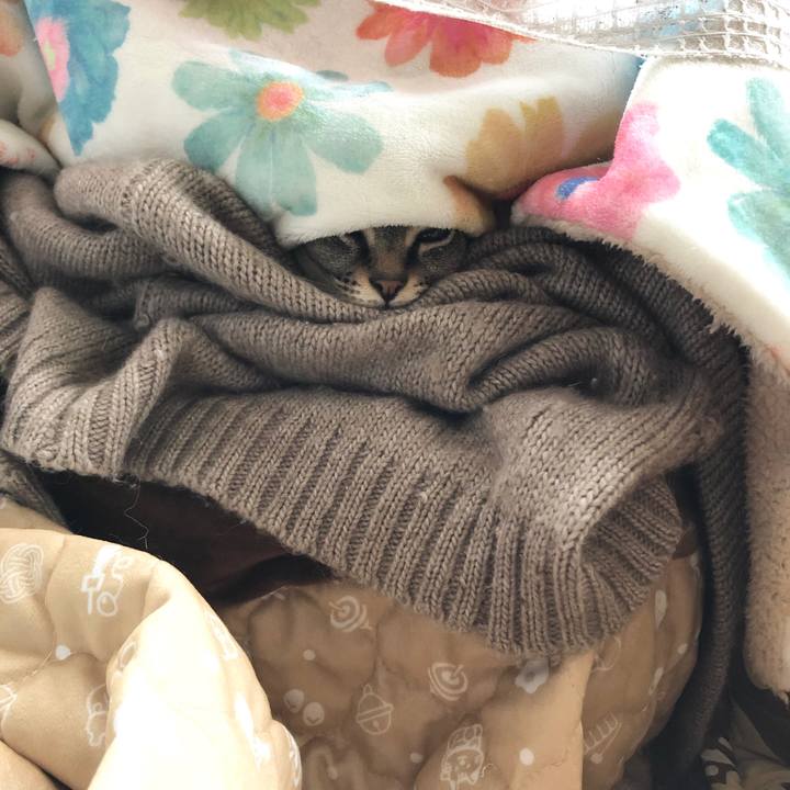 Bec841bf 050a 4d73 b9d3 52ef7a11867a 1644029305022