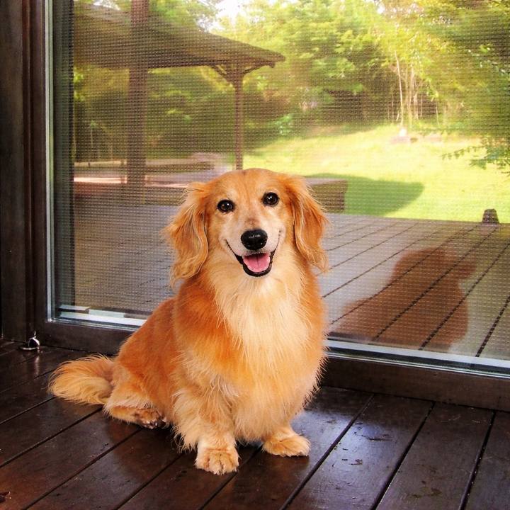 Bec8471b 8543 467e 82d1 fb238f346ef7 1773400324445