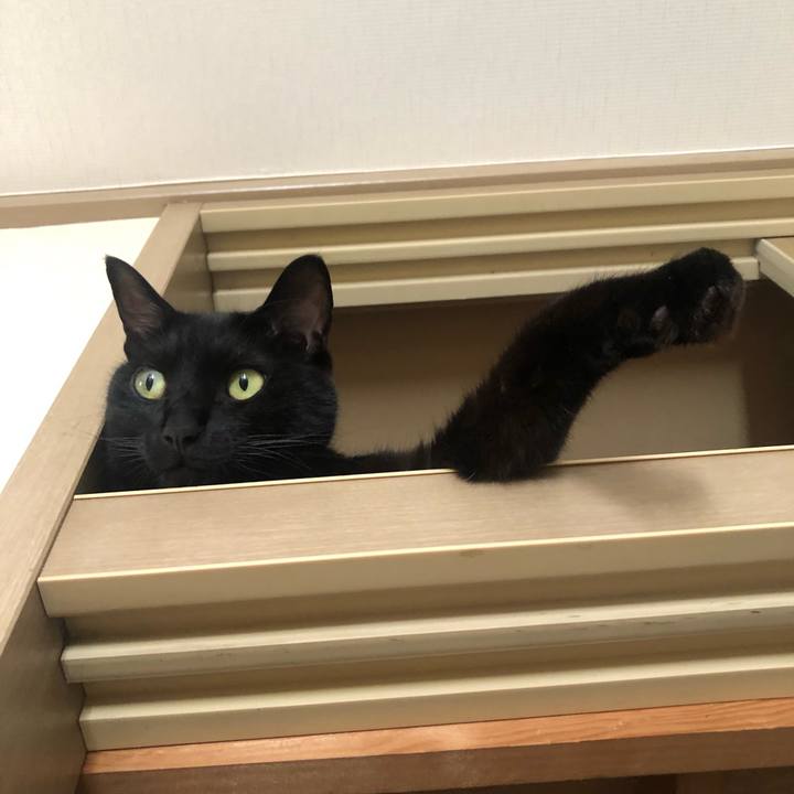 Bec84f7f f1db 4662 ab0f 9773a4d7055a 1656206359861