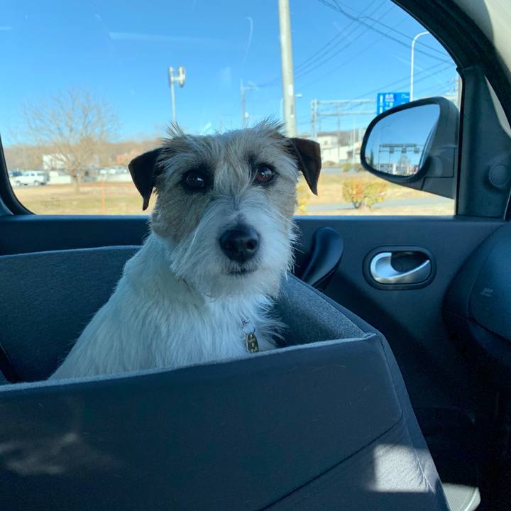 Bec874d7 6656 432f 9544 afc815f251f0 1612501125258