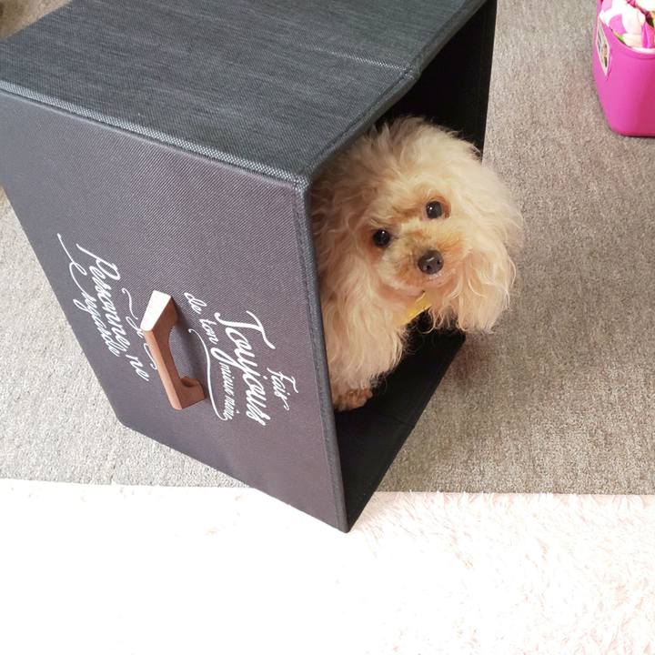 Bec8a93c 5dfe 424d add0 86e009fc43c7 1580374804540