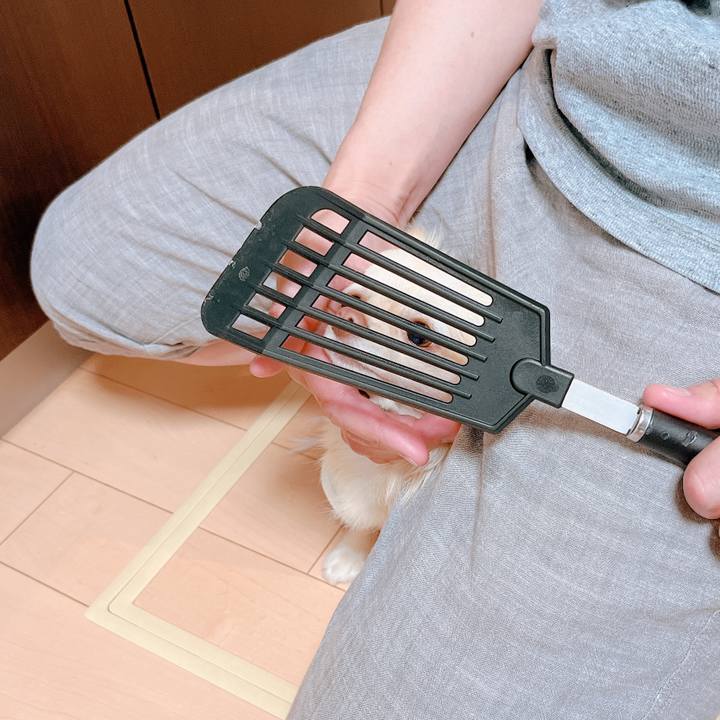 Bec8aeed 75de 4c52 9da5 8301e0944fc1 1652495434188