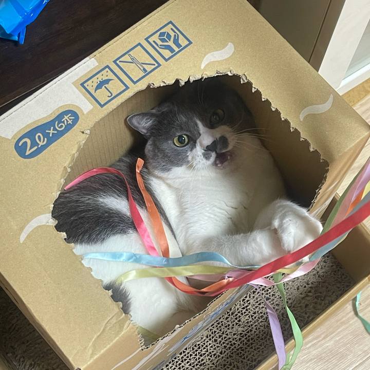 Bec8ba47 10a8 49f3 8477 71c80bd6669b 1757837073474