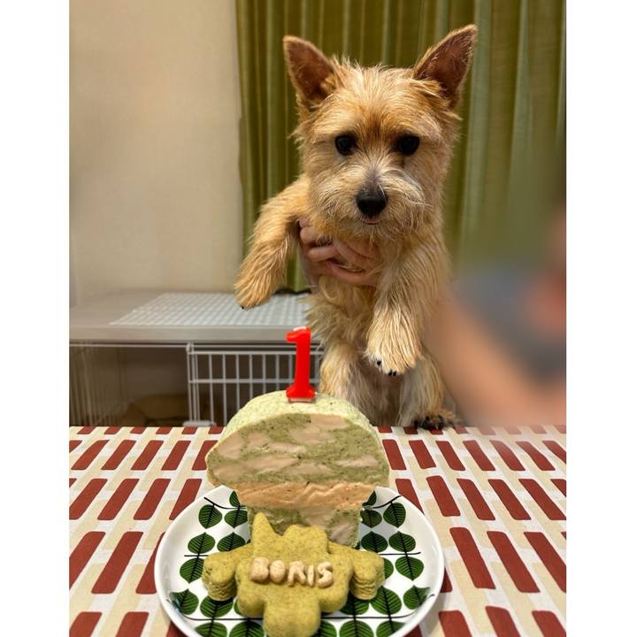 Bec8c19a 275f 4c4f a4ba 5056ef32f973 1726058031485