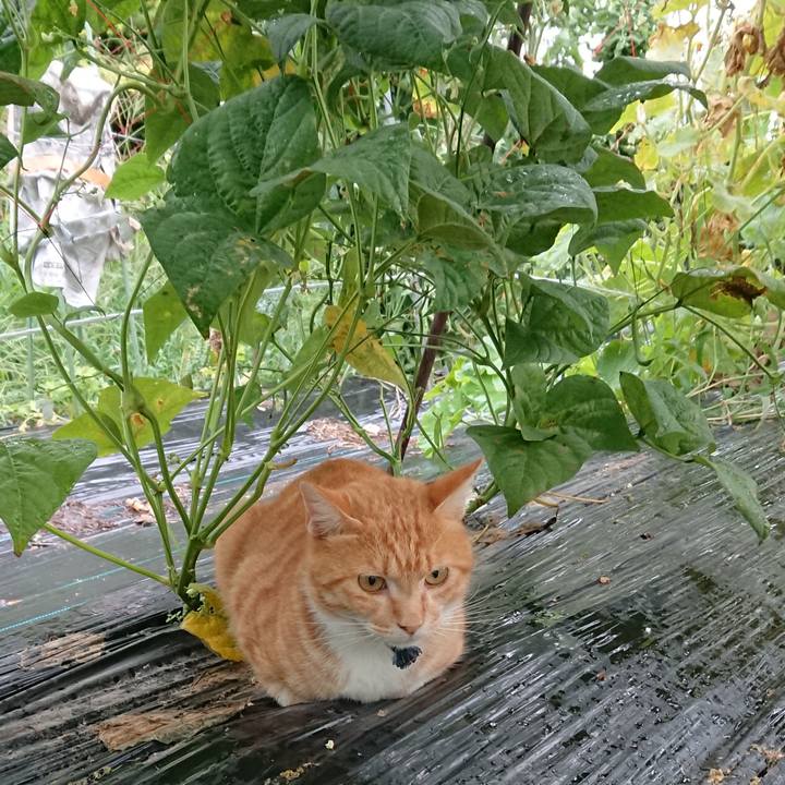 Bec8d543 94dd 496d 8c2d a3116c90b93d 1566681745961