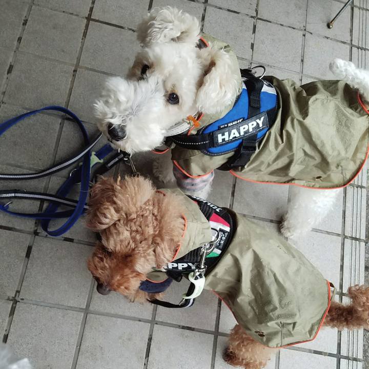 Bec92743 5444 4662 81a2 e386c3665987 1520462422500