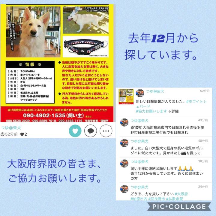 Bec92bdb 3e5c 4213 ac8a 3598c2a43fec 1534090357276