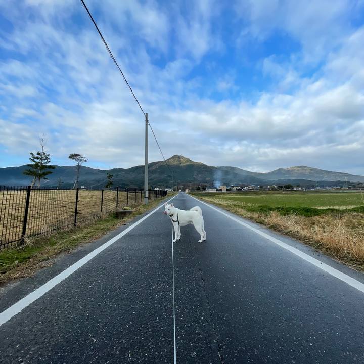 Bec94119 dfa3 4f24 940e 9e38f51dc5f9 1612569822265