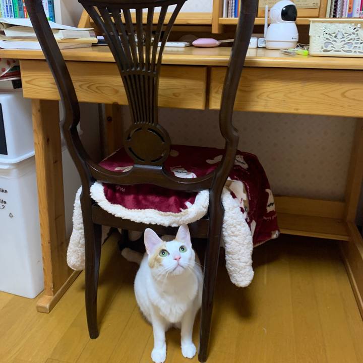 Bec97abf f1f3 4102 9c5a 1666eb40fd2a 1649158585672