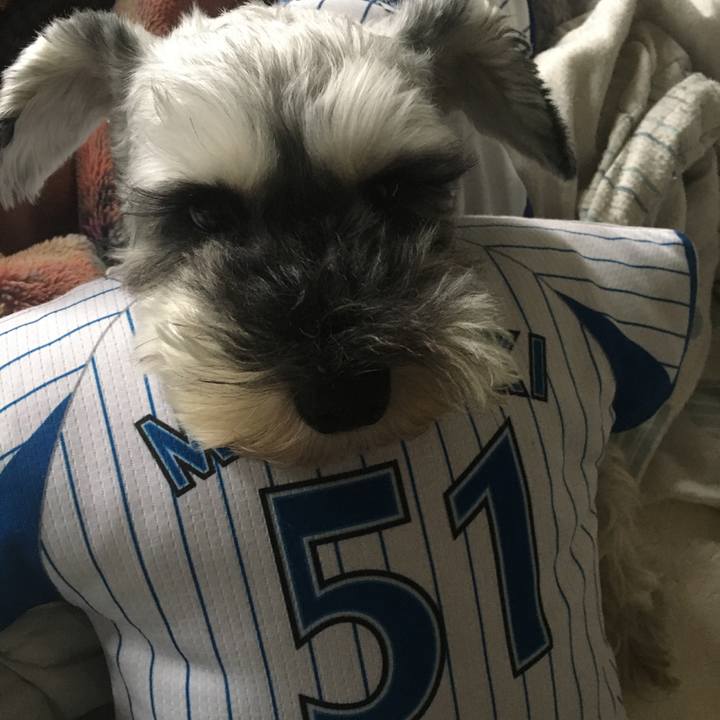 Bec992af 91e5 40d3 9027 a006063be4e3 1600491851630