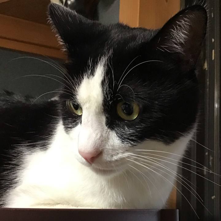 Bec9ace6 e0eb 4e91 b4fa 8fb43f893e59 1724832808298