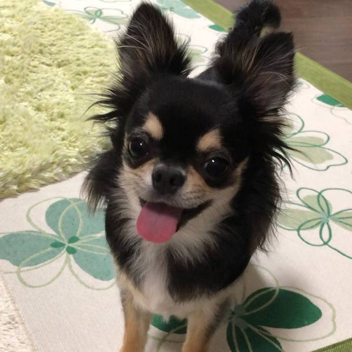 Bec9ce5f c113 4e20 84eb f0fc941b88c8 1567079022370