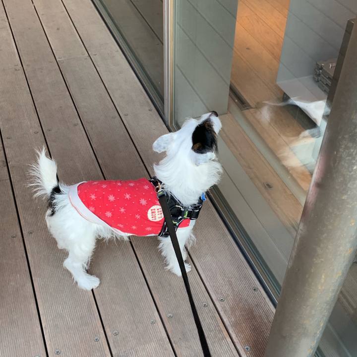 Bec9dda3 cccd 477c afa1 2cebcc3f506e 1545897790829