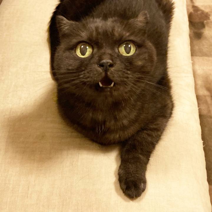 Bec9e556 f325 4ef9 bfe3 9560ba3bd85b 1596291137617