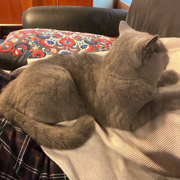 Bec9f5b3 2ffa 41d8 8c6a c92cad05ec02 1699659849606