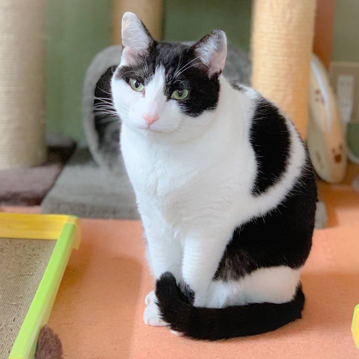 Beca358b 3c3f 430a 911c 9c1a69935a1b 1558230959511