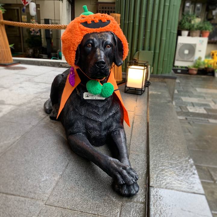 Beca385c f2e4 4ca6 846e a83949c6c1f2 1570972978723