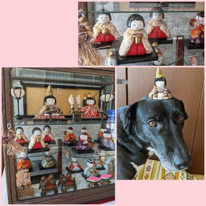 Beca49d2 b1e9 4e19 820d 9b2e40ca3c89 1677841362441