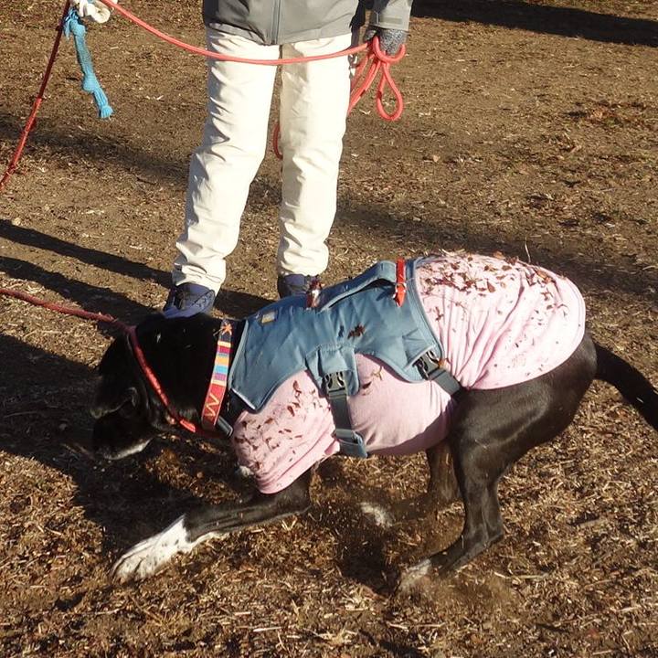 Beca534e 0679 43c4 88e6 ea453036abc8 1704503035770