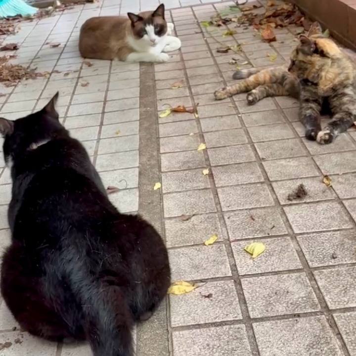 Beca867f e650 4176 a463 010f64b31d6a 1753152719504