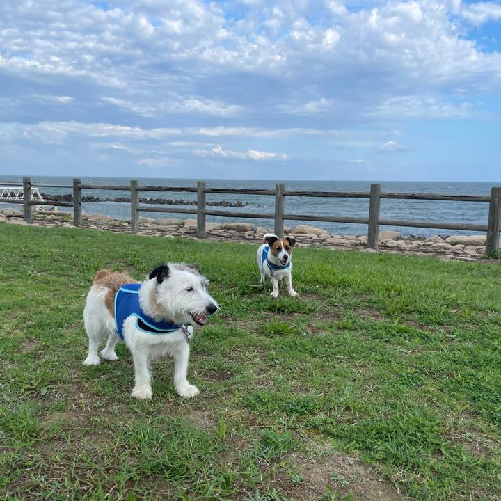 Becaa456 31dd 4005 8350 86a2f7c36710 1722293402601