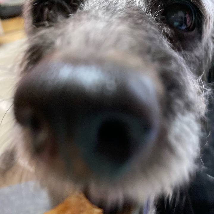 Becab397 4b5c 490b baf8 28c8167f0eea 1702336422100