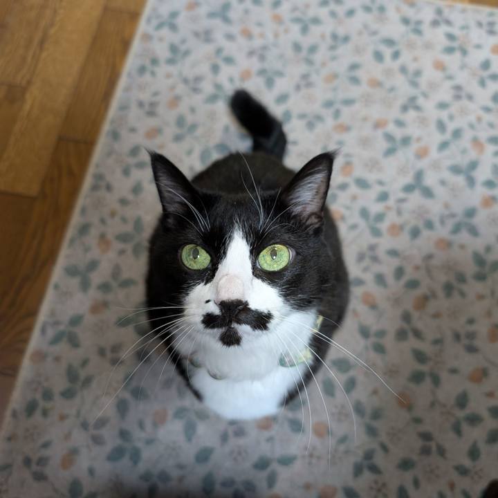 Becaef34 a273 45c9 930d e92341e764fe 1762810607787