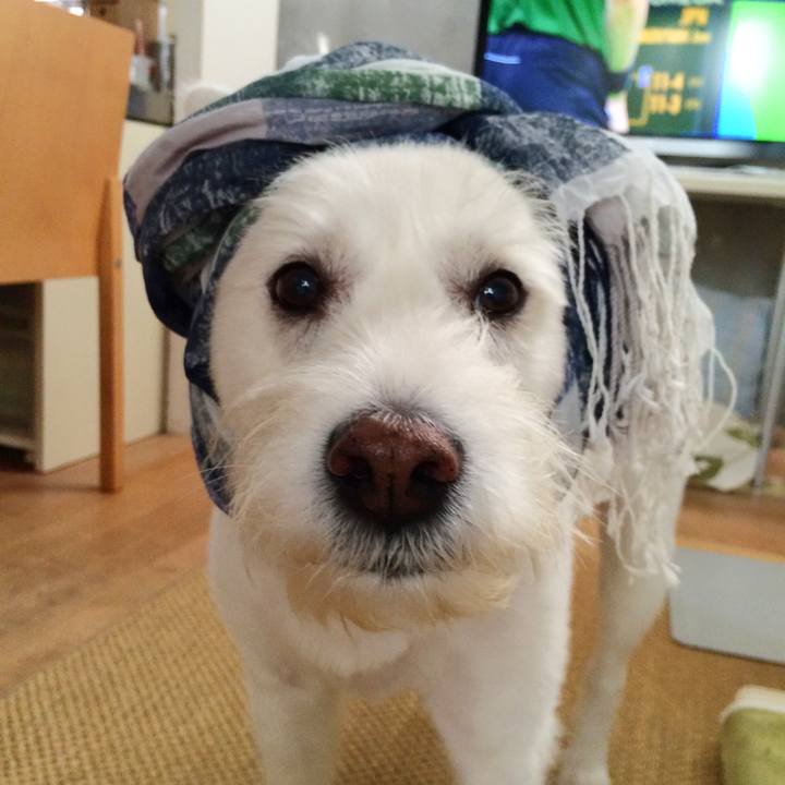 Becaf675 6d55 46c2 aab5 57a70aede132 1773886898164