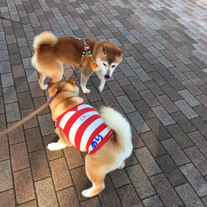 Becaf88a bfc7 4148 a162 926c745af92f 1565997037755