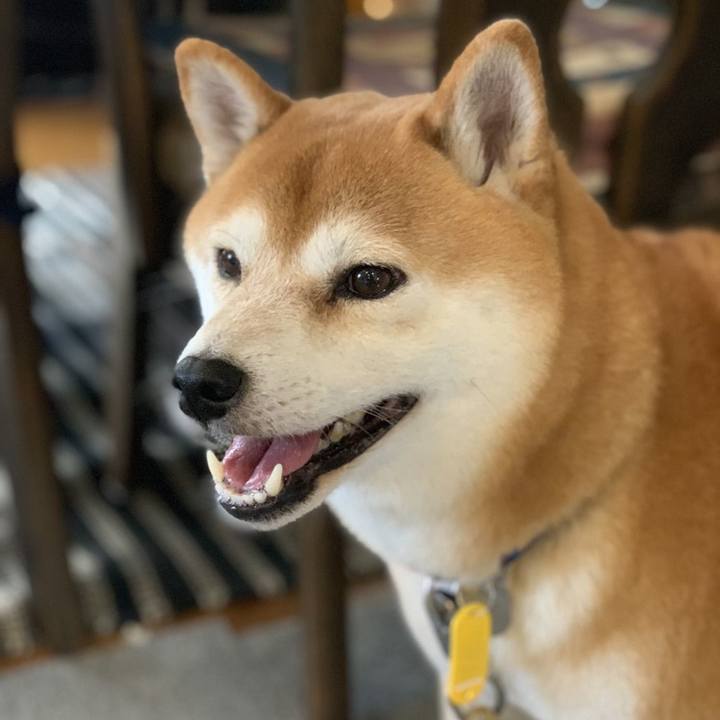 Becc05d6 c7cc 4782 9a7e 7e75bf4da300 1538453542045