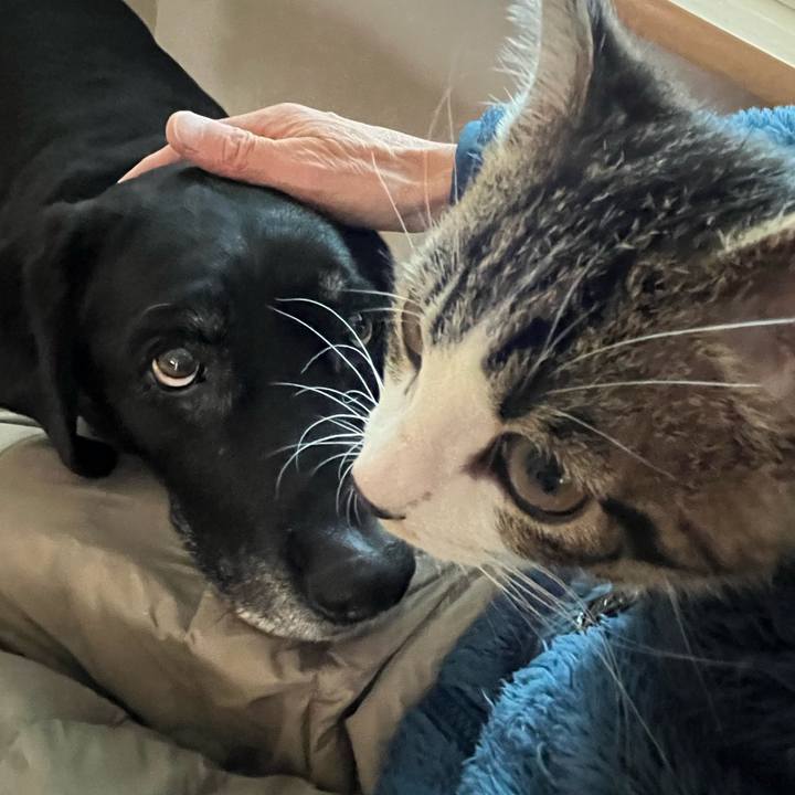 Becc21c7 b1f4 4a70 9042 98f7d1f32051 1769902417746