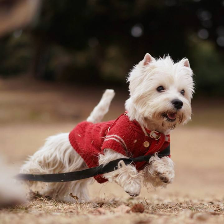 Becc4200 7274 436b bce3 674d39e53eb8 1519086895712