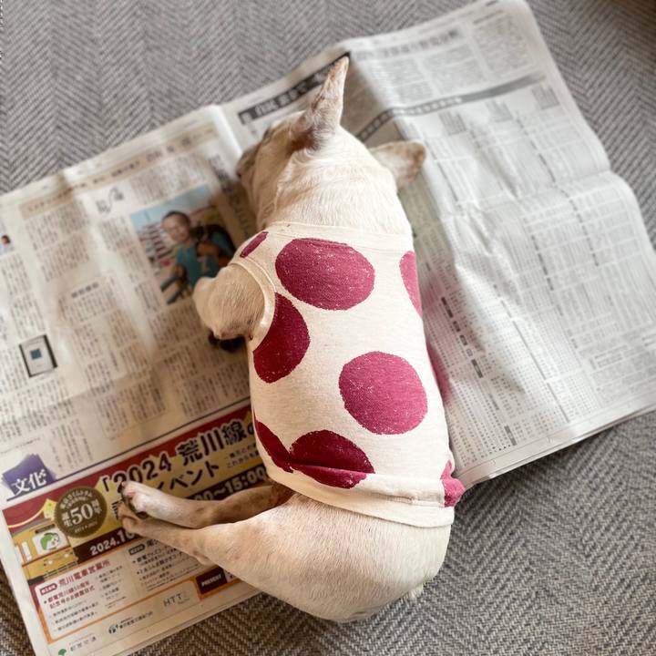 Becc424f d157 4631 9f41 33969dfa2a17 1728876652942