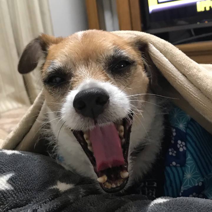 Becc757f 3c72 47bd b9eb e16f7e8f4bf0 1544880847166