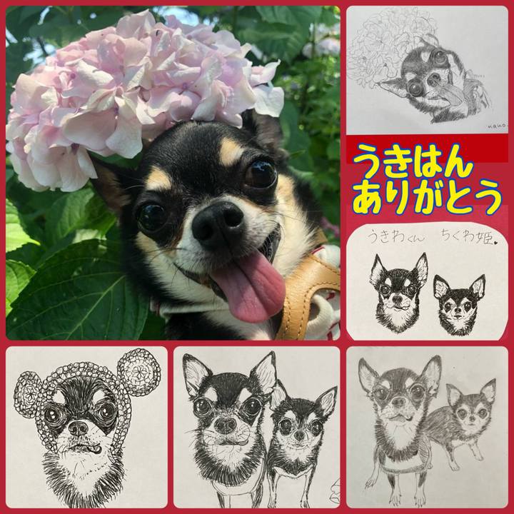 Becc83ad 63a3 4a98 88b3 2df489ff531a 1713422535956