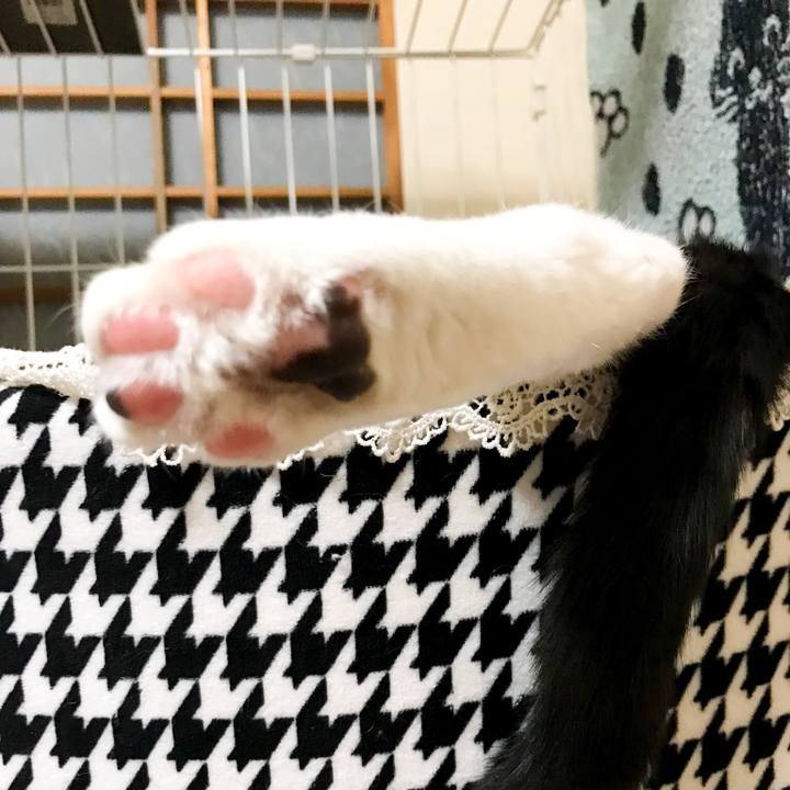 Beccd2f8 3382 4051 a8b2 14f79d05b73c 1516858156300