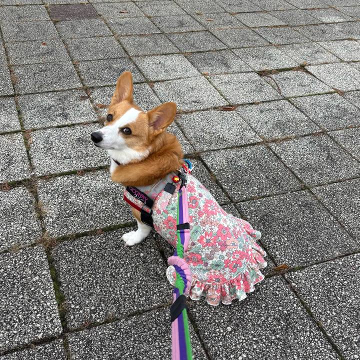 Becd3a70 dd90 4a01 b2da 24fa7001235f 1760316281393