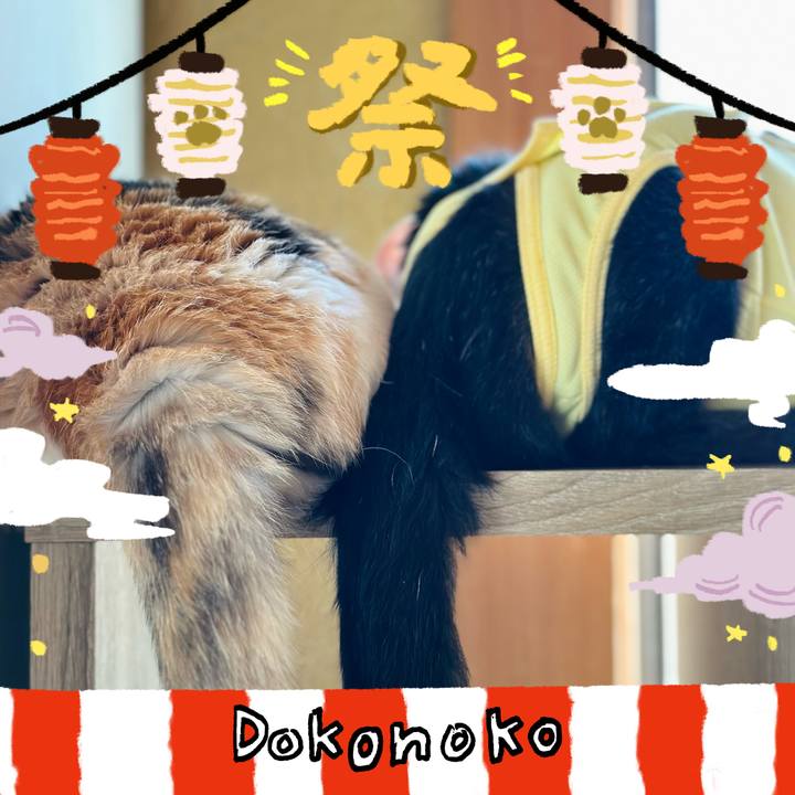 Becdb335 dce4 4c31 b094 2c4e9106725e 1723427076495