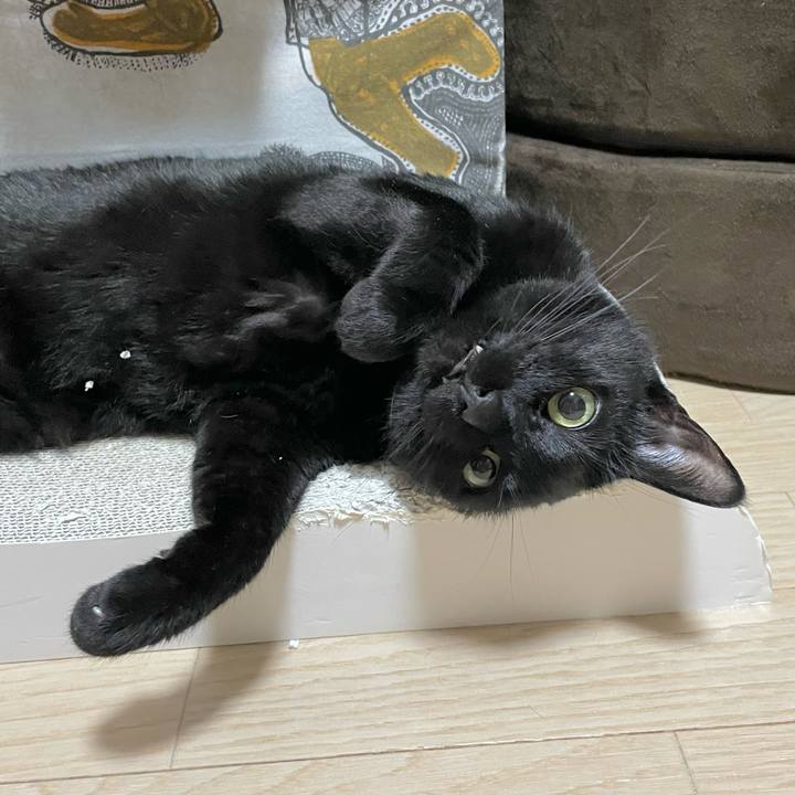 Becdcb4d bebd 4ac1 b50b dd6e429a2334 1711372640165