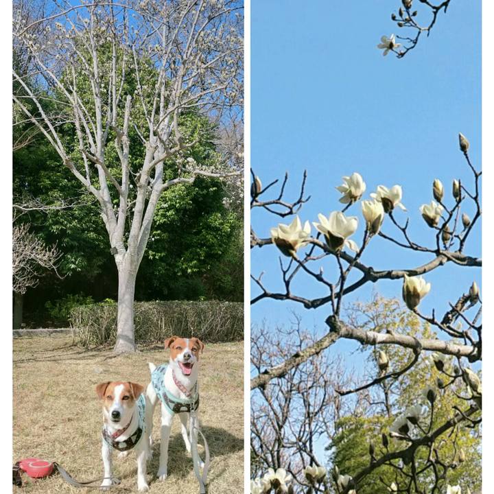 Becdeb10 26ed 4050 ad57 260f46f46bf9 1772263865239