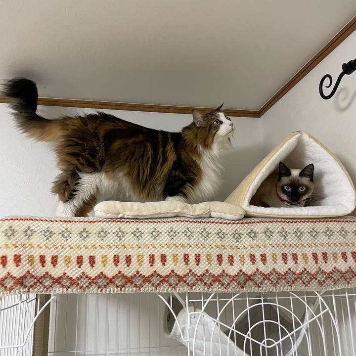 Bece017a 8488 471b bdc9 83ebecc03739 1705259980126