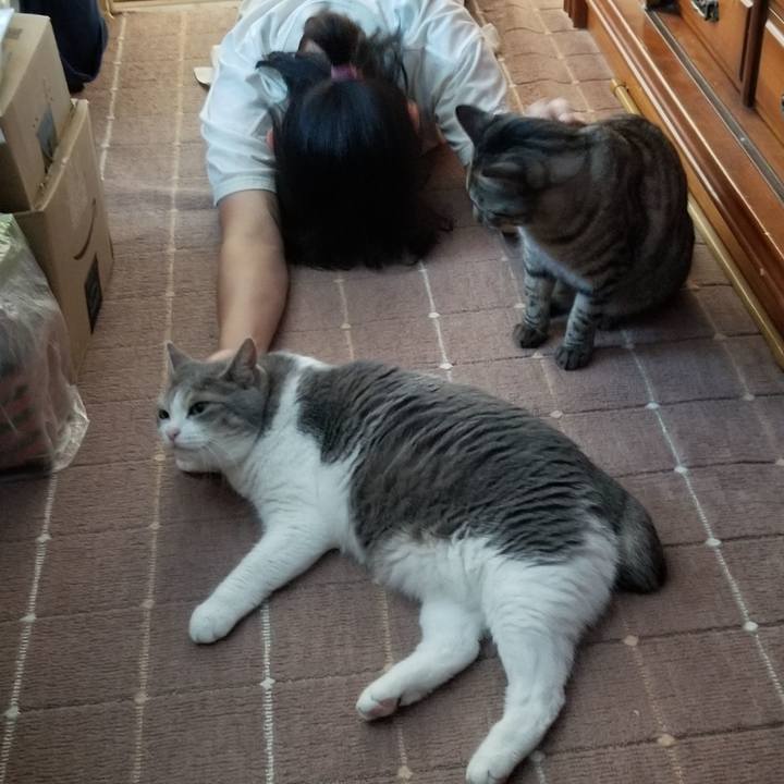 Bece1bd8 5281 4c08 b976 edd0c5e240ff 1690469088042