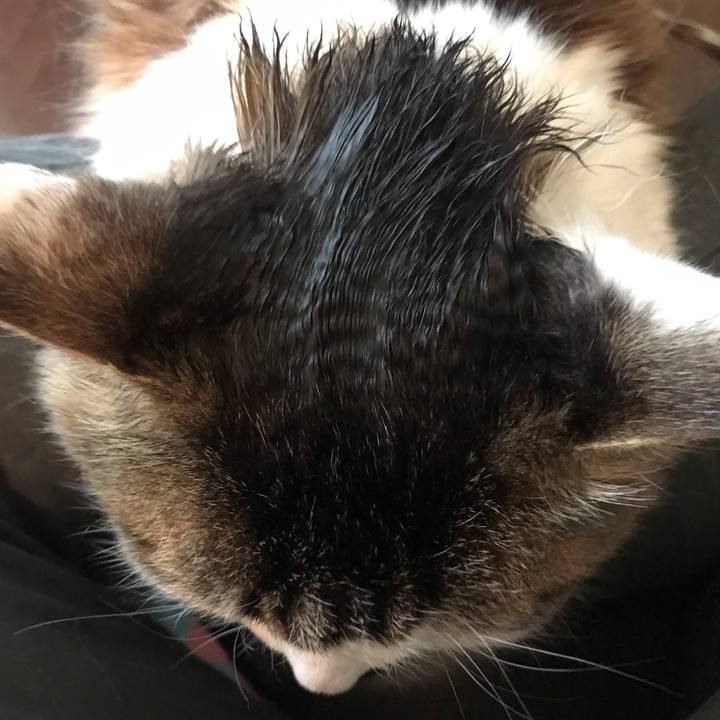 Bece5099 10fd 4d39 8343 384d0cb2121f 1587130791984