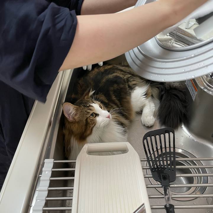 Bece8d4c cc46 4c81 a115 e45885410c2f 1648677966998