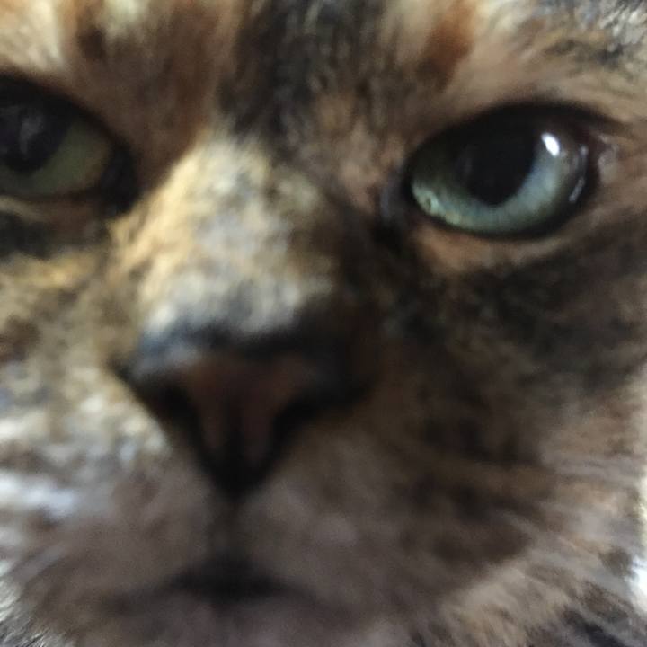 Bece9211 89af 474b b64c c7349648acf8 1559436727178