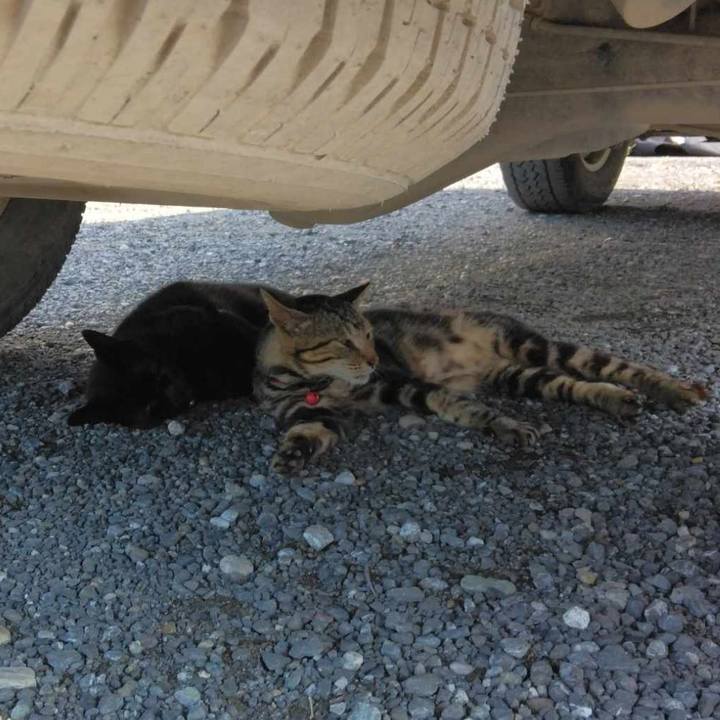 Becea6e7 94b0 40d0 b220 70eebddb6076 1693290557236